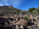 photo thumbnail #1