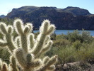 photo thumbnail #13