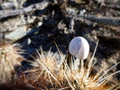 photo thumbnail #12