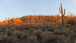 photo thumbnail #1