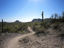 photo thumbnail #1