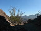 photo thumbnail #4