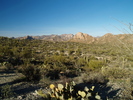 photo thumbnail #1