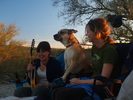 photo thumbnail #7
