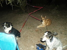 photo thumbnail #8
