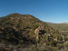 photo thumbnail #3