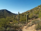 photo thumbnail #4