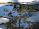 photo thumbnail #7
