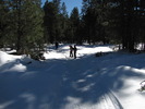 photo thumbnail #10