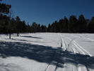 photo thumbnail #12