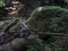 photo thumbnail #10