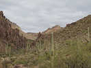 photo thumbnail #1