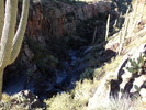 photo thumbnail #5