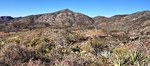 photo thumbnail #4