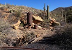 photo thumbnail #6