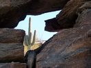 photo thumbnail #8