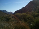 photo thumbnail #1
