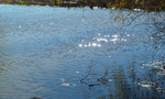 photo thumbnail #4