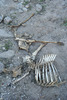 photo thumbnail #7