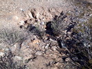 photo thumbnail #1