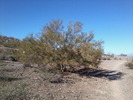 photo thumbnail #7