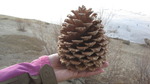 photo thumbnail #9
