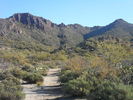 photo thumbnail #4