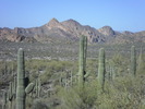photo thumbnail #10