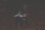 photo thumbnail #4