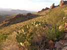 photo thumbnail #3