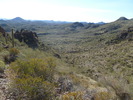 photo thumbnail #3