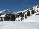 photo thumbnail #1