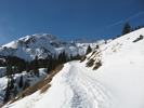 photo thumbnail #2