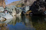 photo thumbnail #6
