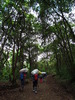 photo thumbnail #10
