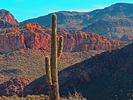 photo thumbnail #5