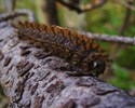 photo thumbnail #3