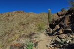 photo thumbnail #4