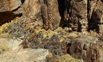 photo thumbnail #6