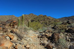 photo thumbnail #7