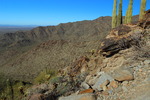 photo thumbnail #8