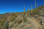 photo thumbnail #9