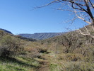 photo thumbnail #2