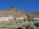 photo thumbnail #3