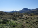 photo thumbnail #4