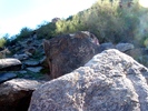photo thumbnail #2