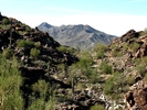 photo thumbnail #11