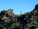 photo thumbnail #12