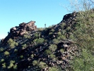 photo thumbnail #13