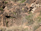 photo thumbnail #14